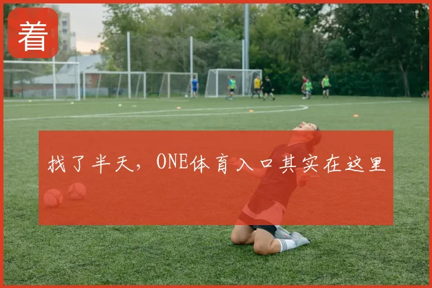 找了半天,ONE体育入口其实在这里